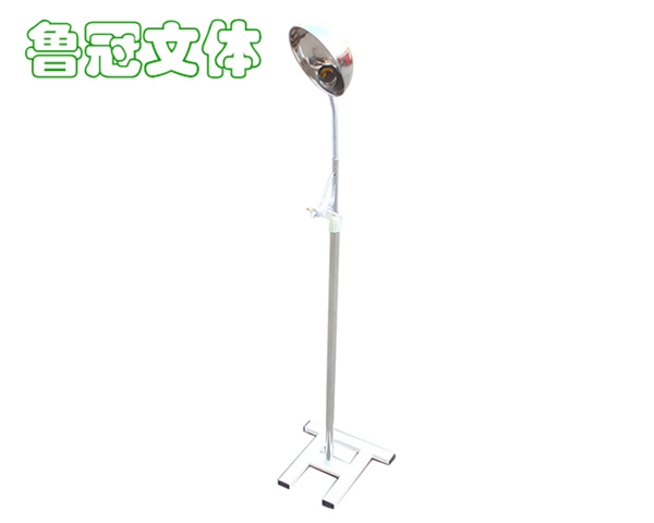 LG-WSQC0019落地蛇形燈