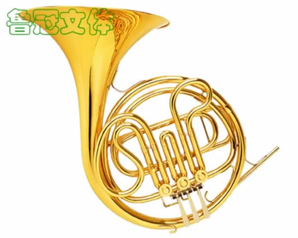 LG-YYQC0003圓號(hào)