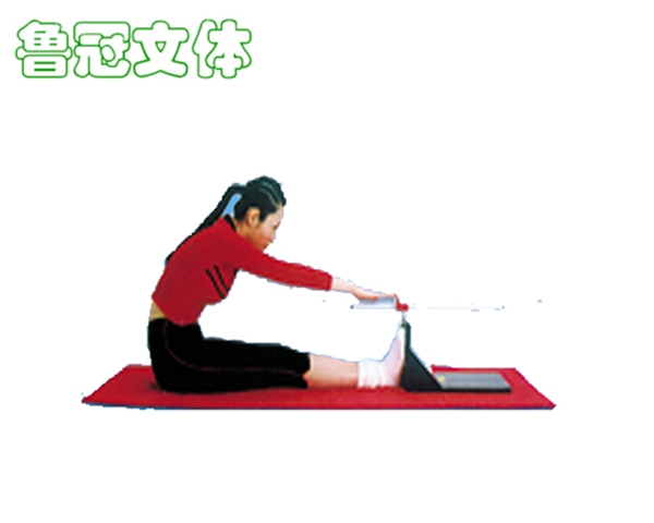 LG-TNJC0007坐位體前屈測試儀