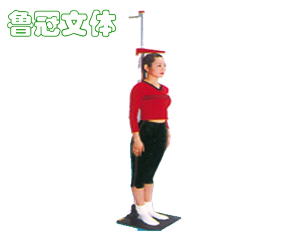 LG-TNJC0001 身高測(cè)試儀